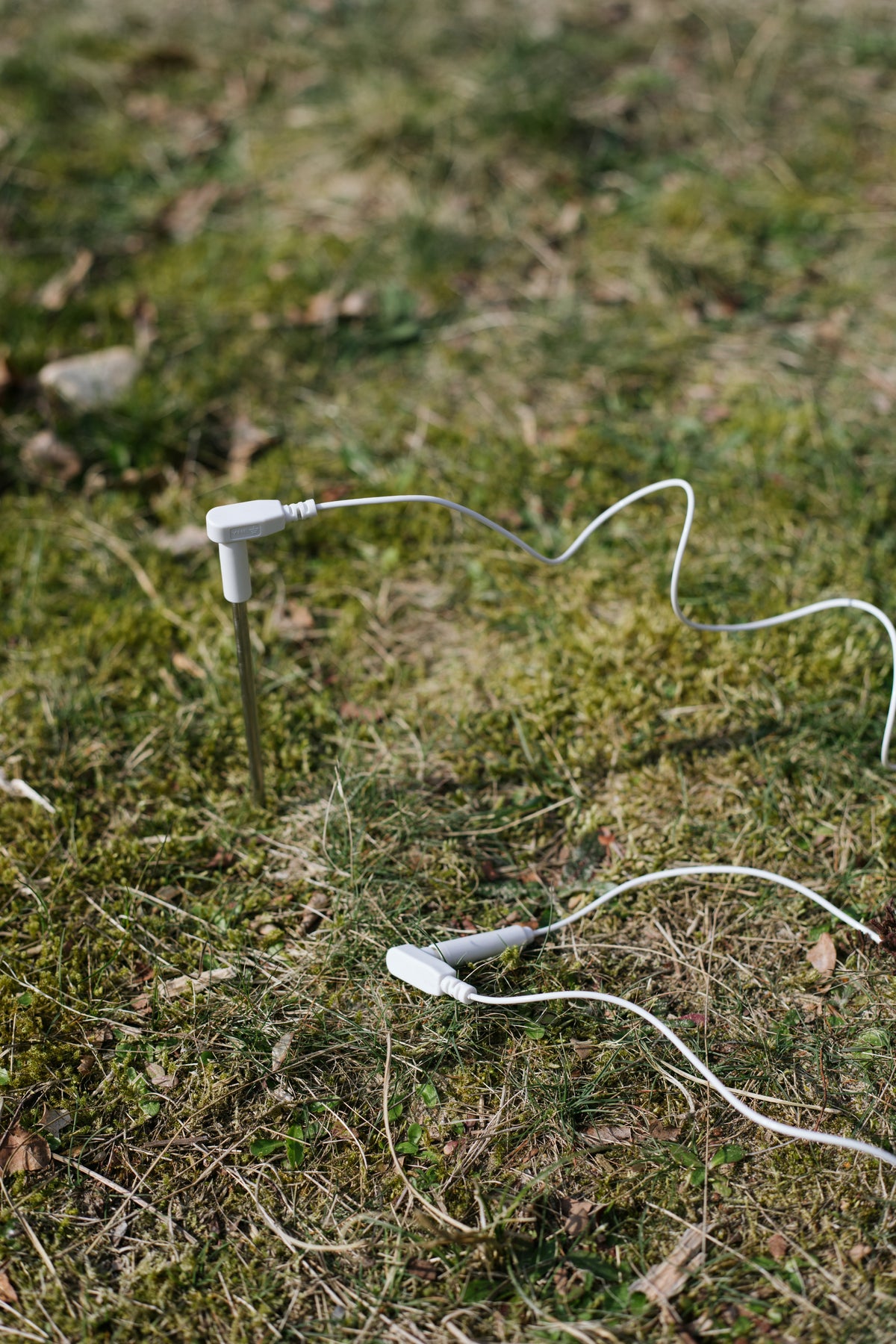 Earthle earthing rod in the grass with the earthing cable attached