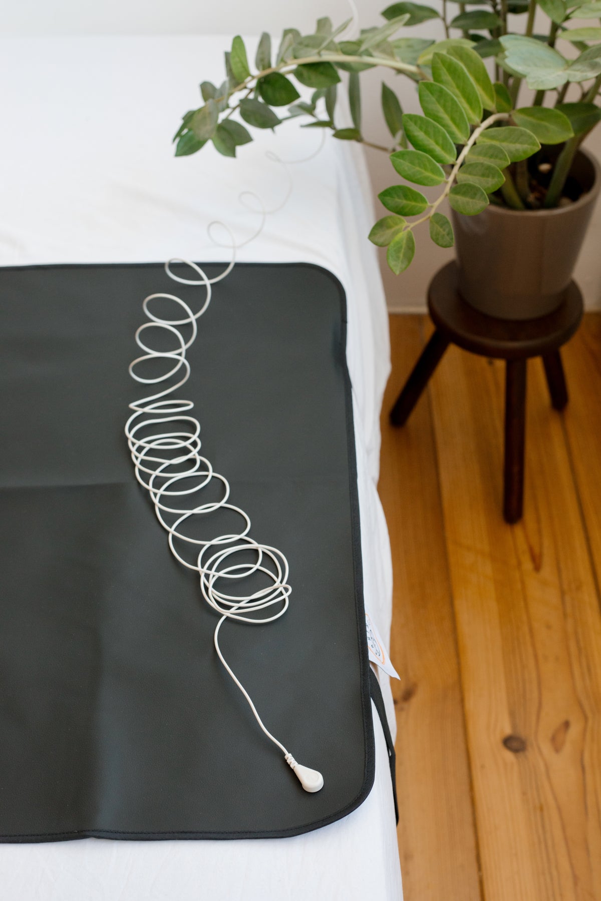Earthing cable on the rolled-up sleeping mat, with a houseplant in the background